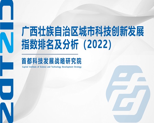 鸡插女生的网站【成果发布】广西壮族自治区城市科技创新发展指数排名及分析（2022）